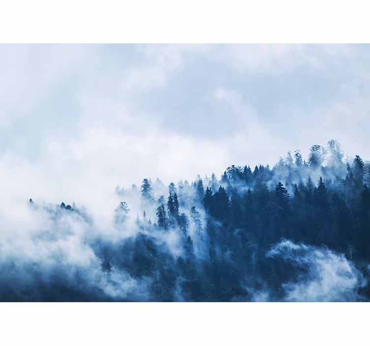Tapisserie nature paysage forestier brumeux - TenStickers