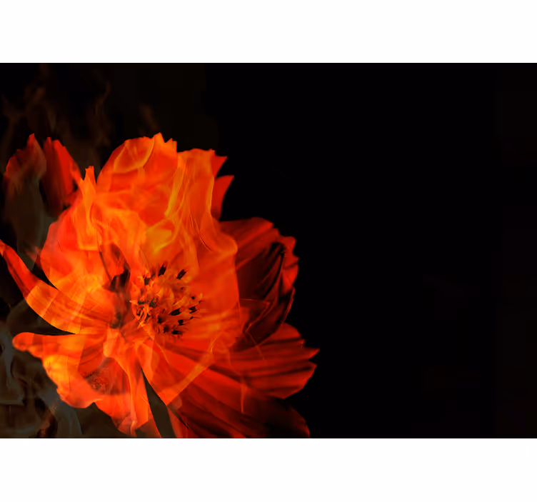 Tapisserie autres fleurs explosion florale ardente - TenStickers