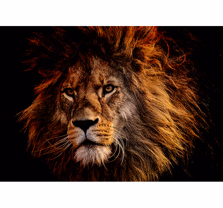Tapisserie lion présence lion majestueux - TenStickers