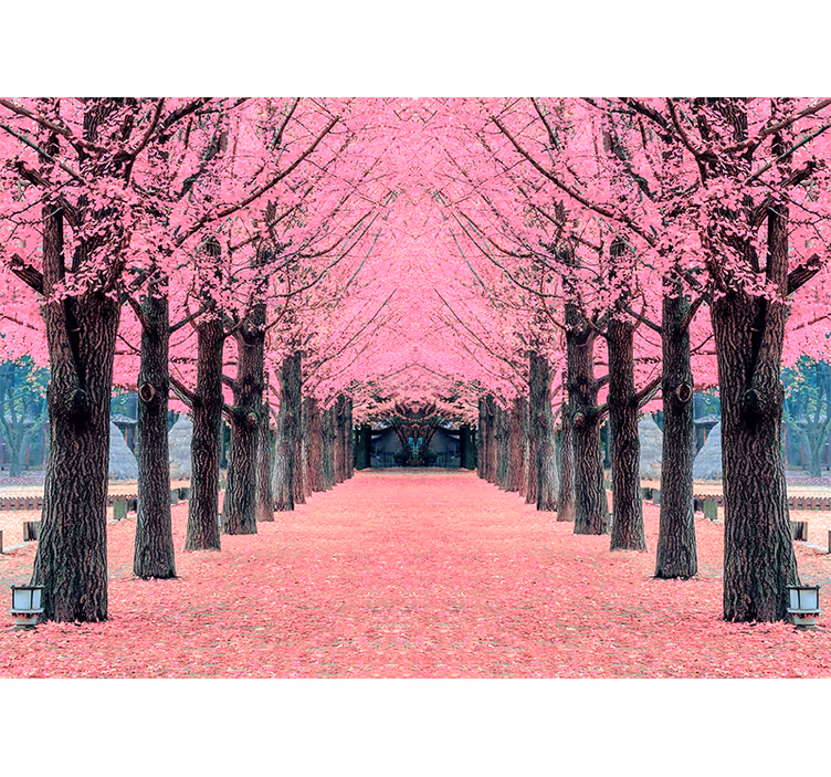 Tapisserie fleur chemin des cerisiers en fleurs - TenStickers