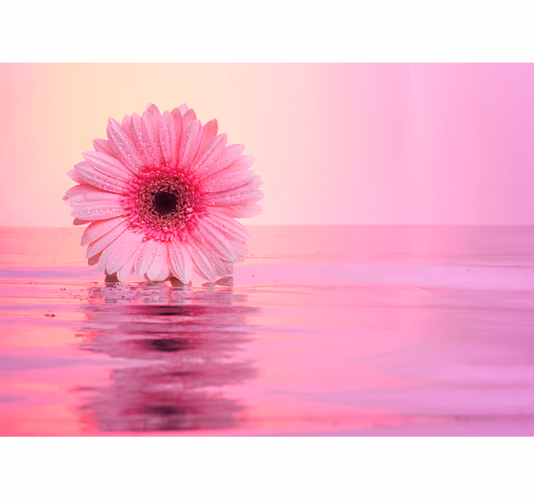 Tapisserie coquelicots reflet de fleur rose - TenStickers