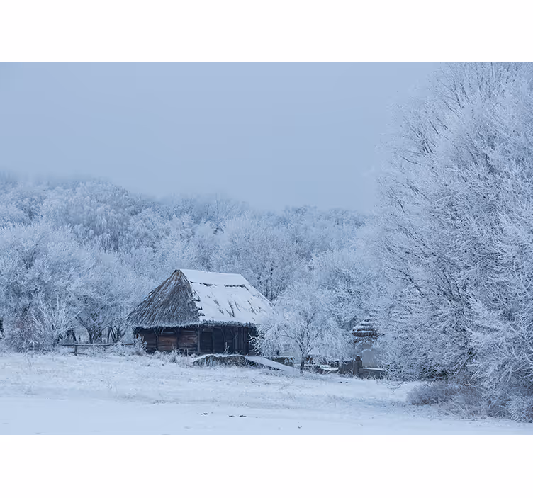 Tapisserie paysage scène hivernale couverte de neige - TenStickers