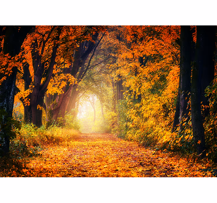 Tapisserie forêt scène de chemin d'automne - TenStickers