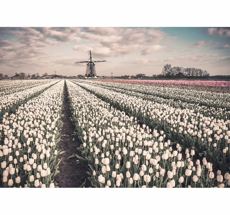 Tapisserie fleur champ de tulipes - TenStickers