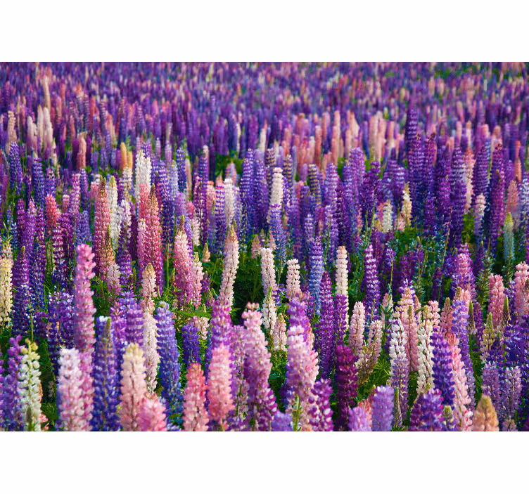 Tapisserie fleur fleurs violettes luxuriantes - TenStickers