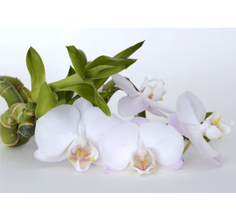 Tapisserie orchidée arrangement élégant - TenStickers