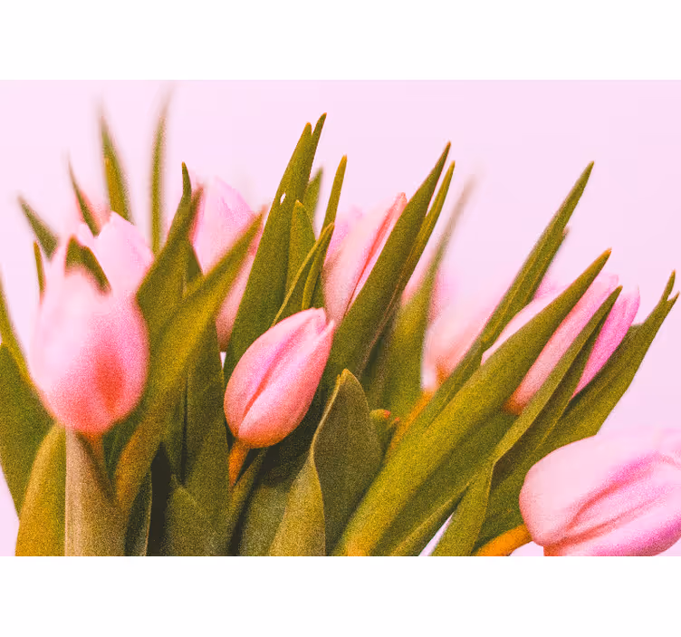 Tapisserie coquelicots en fleurs de tulipes roses - TenStickers