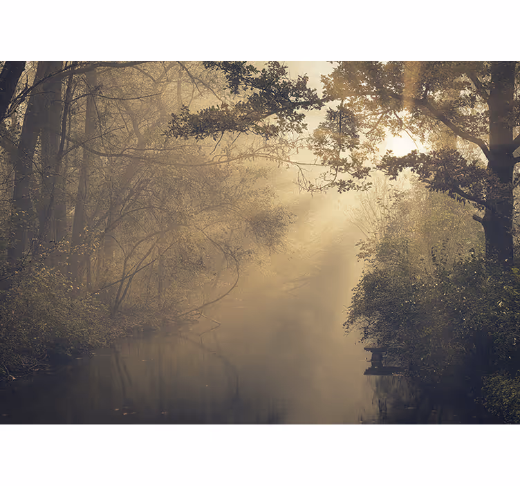 Tapisserie nature paysage forestier lumineux - TenStickers