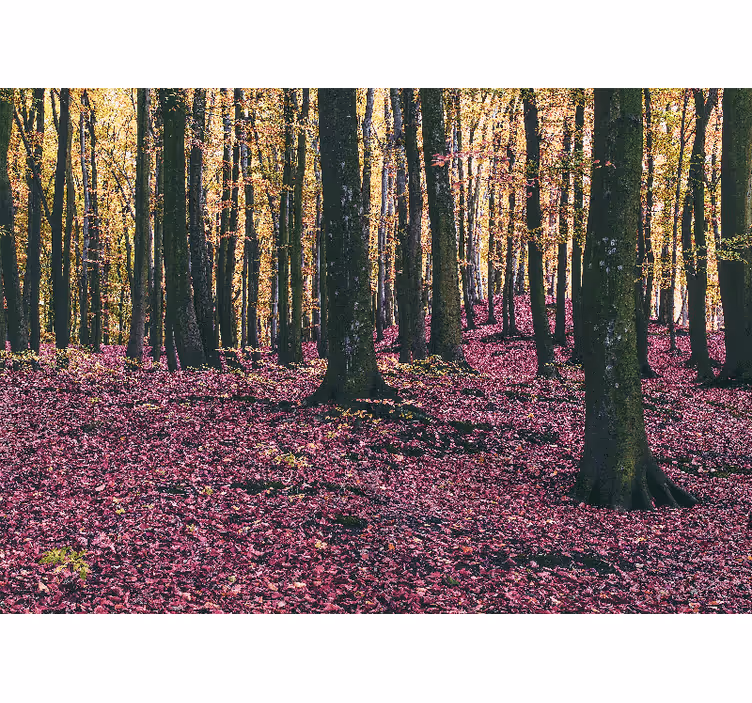 Tapisserie nature scène forestière sereine - TenStickers