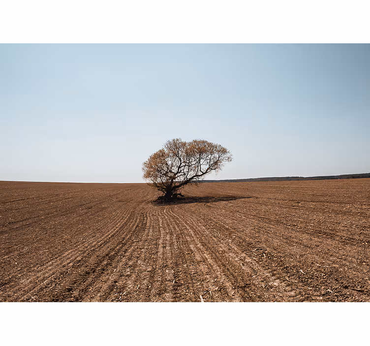 Tapisserie nature arbre solitaire paysage - TenStickers