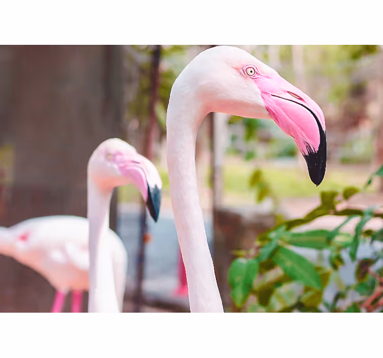 Tapisserie autres animaux flamants roses Élégants - TenStickers