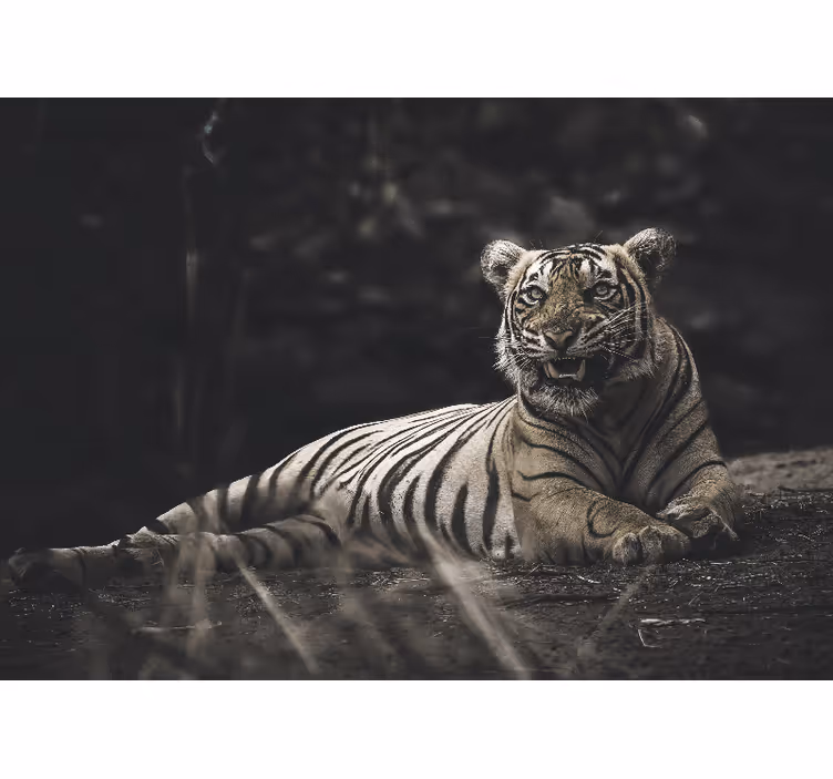 Tapisserie animaux tigre majestueux en position - TenStickers