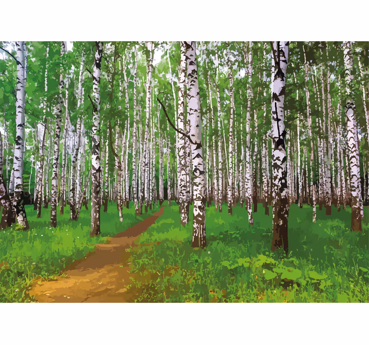 Tapisserie nature chemin dans la forêt de bouleaux - TenStickers