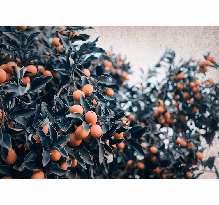 Tapisserie fleur branche de fruits citrus - TenStickers