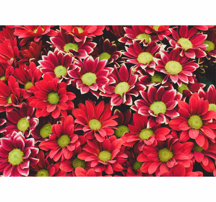 Tapisserie fleur composition de fleurs Écarlates - TenStickers