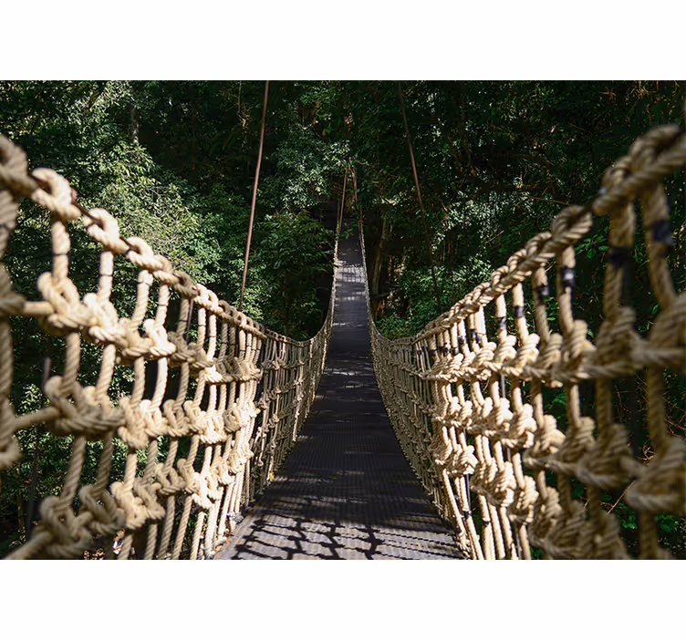 Tapisserie nature chemin suspendu en forêt - TenStickers