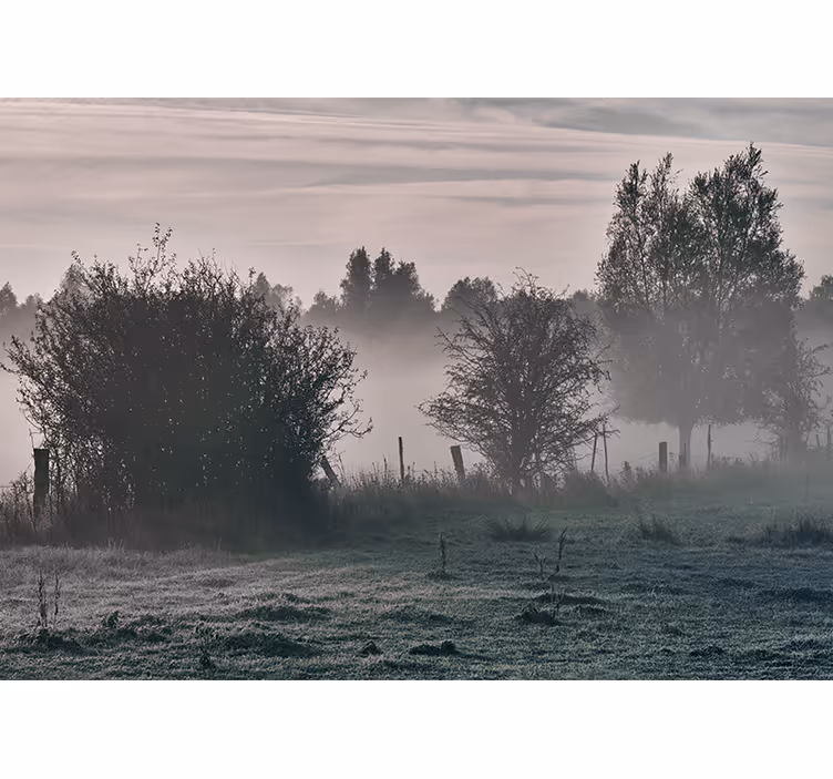 Tapisserie nature paysage boisé brumeux - TenStickers