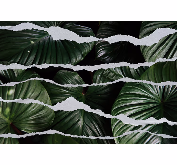 Papier peint nature design feuilles luxuriantes - TenStickers