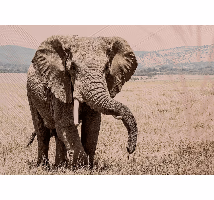 Tapisserie autres animaux Éléphant royal aura - TenStickers