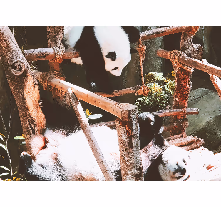 Tapisserie animaux scène de jeu avec panda - TenStickers
