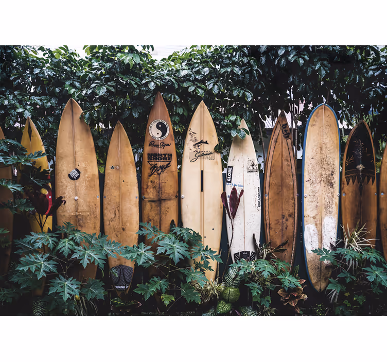 Tapisserie véhicules planches de surf exposées - TenStickers