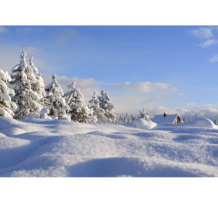 Tapisserie paysage scène enneigée d'hiver - TenStickers