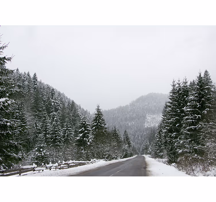 Tapisserie montagne paysage montagnard glacé - TenStickers