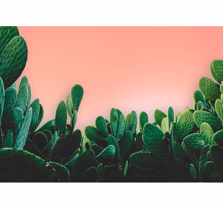 Tapisserie nature paysage de cactus - TenStickers