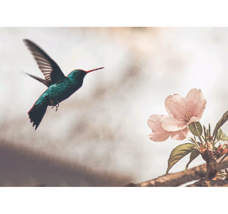 Tapisserie animaux colibri et fleur - TenStickers