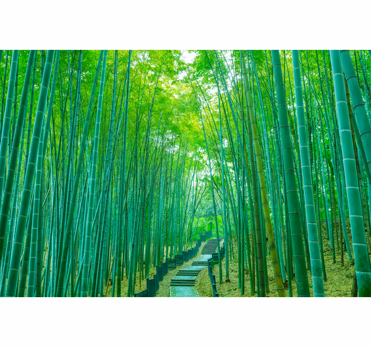Tapisserie bambou chemin de bambou serein - TenStickers
