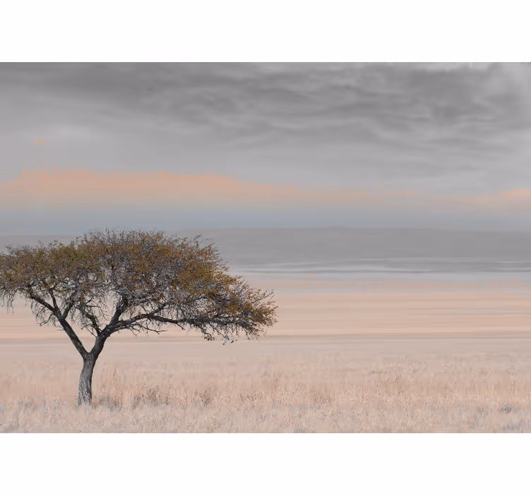 Papier peint nature paysage d'arbre isolé - TenStickers