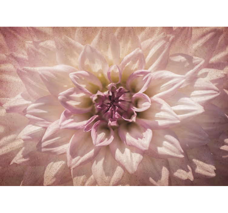 Tapisserie autres fleurs délicate fleur rose - TenStickers