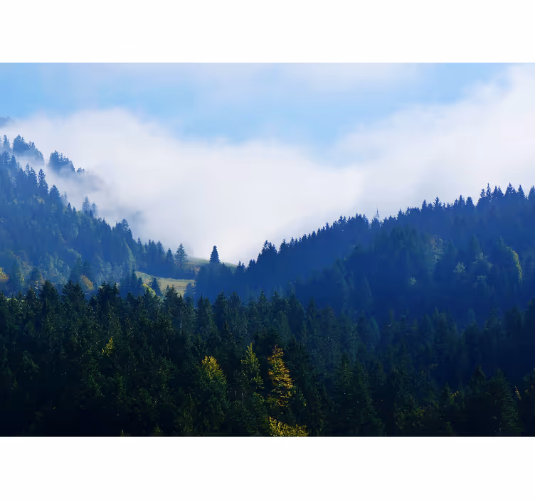 Tapisserie nature montagnes et brouillard - TenStickers