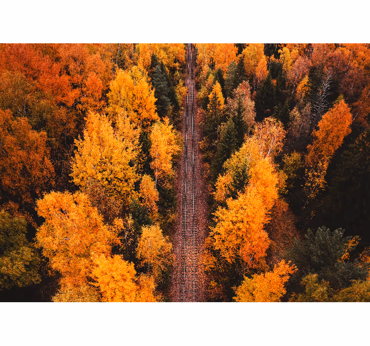 Tapisserie paysage sentier forestier d'automne - TenStickers