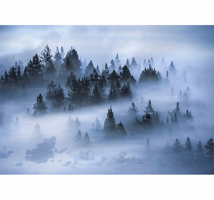 Tapisserie nature forêt de conifères brumeuse - TenStickers