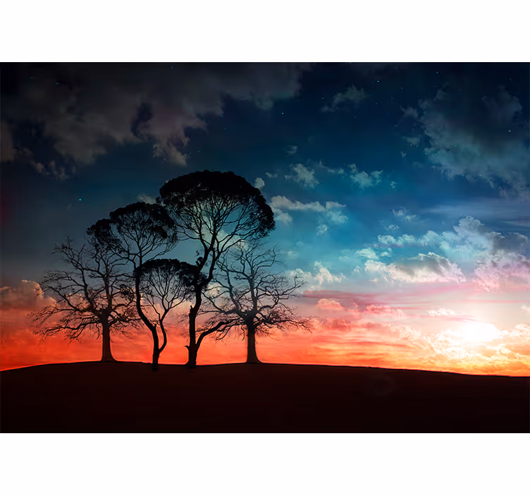 Tapisserie arbre silhouette au coucher de soleil - TenStickers