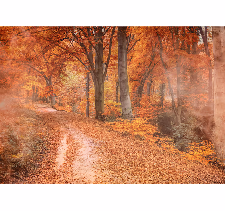 Papier peint nature sentier d'automne - TenStickers