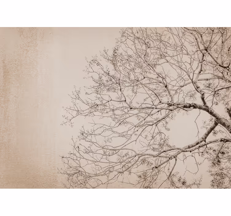 Tapisserie arbre belle silhouette ramifiée - TenStickers