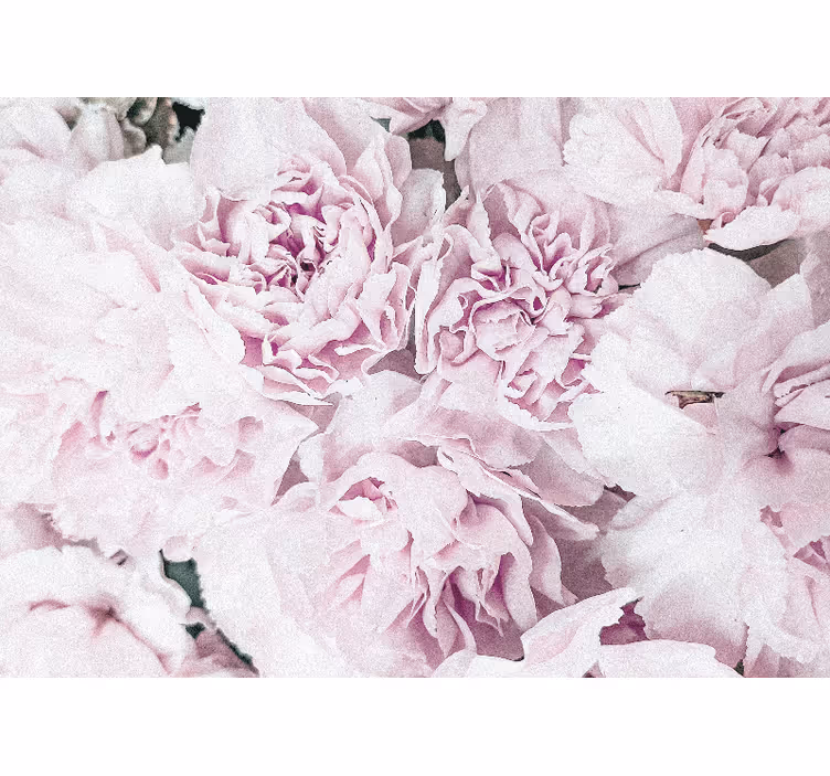 Tapisserie fleur fleurs roses douces - TenStickers
