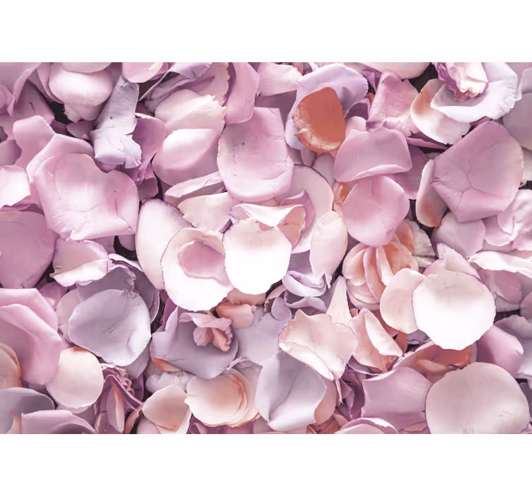 Tapisserie fleur gros plan de pétale de rose - TenStickers