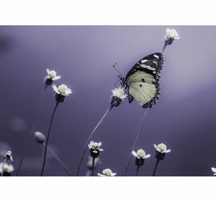 Tapisserie fleur papillon sur fleurs - TenStickers