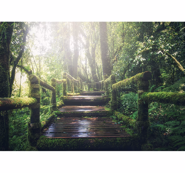 Papier peint nature sentier luxuriant en forêt - TenStickers