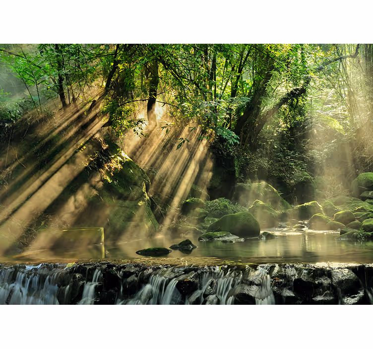Tapisserie nature ruisseau forestier ensoleillé - TenStickers