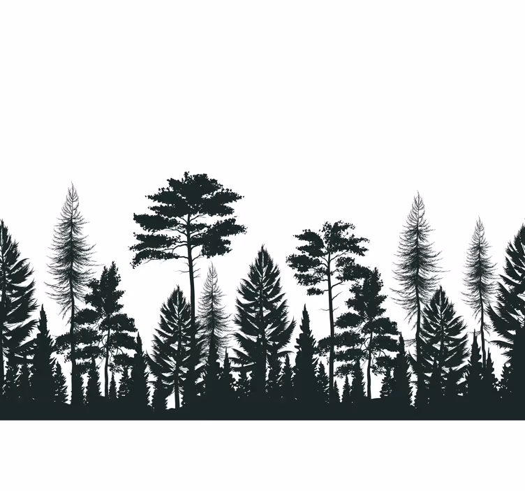 Tapisserie nature arbres à feuilles persistantes silhouette - TenStickers