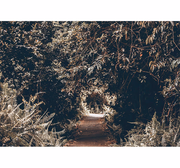 Papier peint nature sentier forestier - TenStickers