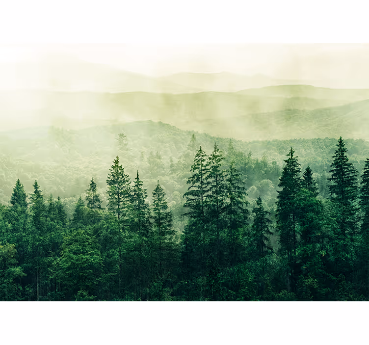 Tapisserie nature paysage vert brumeux - TenStickers