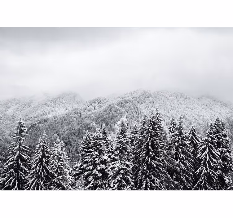 Tapisserie nature scène forestière hivernale - TenStickers