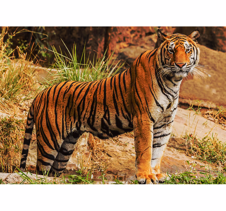 Tapisserie animaux présence du tigre majestueux - TenStickers