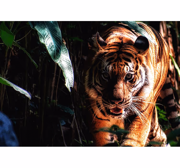 Tapisserie animaux tigre majestueux en chasse - TenStickers
