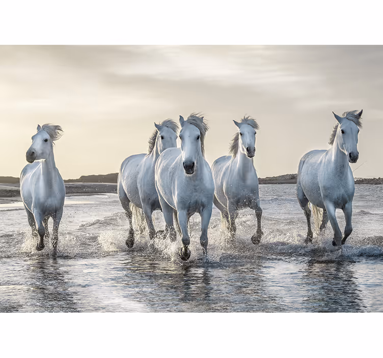 Tapisserie murale chevaux blancs au galop  - TenStickers